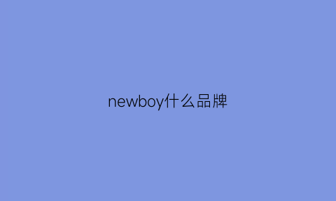 newboy什么品牌(newboy啥意思)