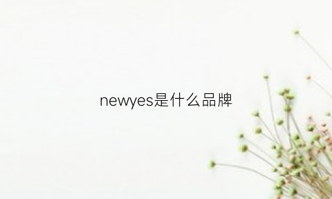 newyes是什么品牌(newvsnew是什么牌子)