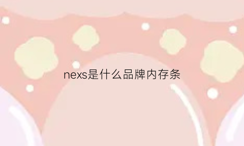 nexs是什么品牌内存条