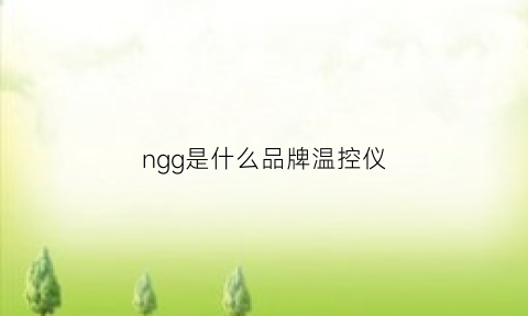 ngg是什么品牌温控仪