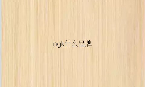 ngk什么品牌(ngg什么牌子)