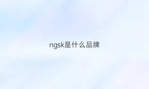 ngsk是什么品牌