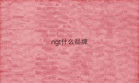 ngt什么品牌(ngn是什么品牌)