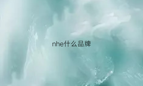 nhe什么品牌(nhiz是什么牌子价位)