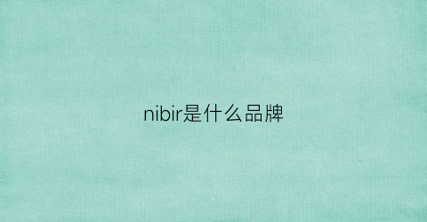 nibir是什么品牌(ninishare是什么牌子)