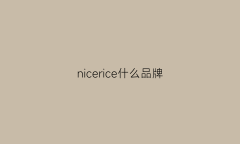 nicerice什么品牌(nicerice质量怎么样)