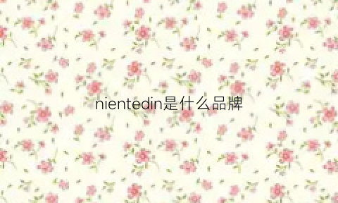 nientedin是什么品牌