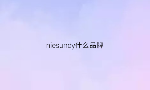 niesundy什么品牌(nissindo是什么牌子)