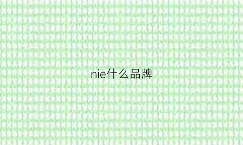 nie什么品牌(nipine是什么牌子)