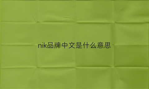 nik品牌中文是什么意思(nik0n是什么牌子)