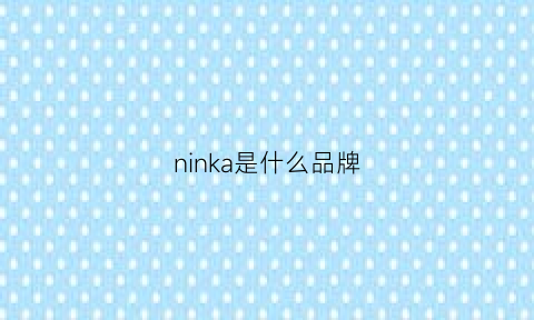 ninka是什么品牌(nikka是什么牌子)
