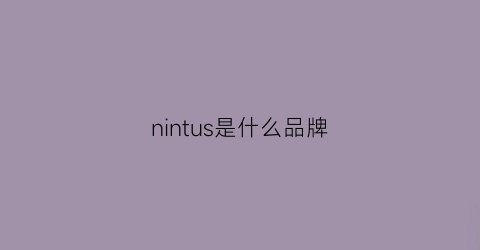 nintus是什么品牌