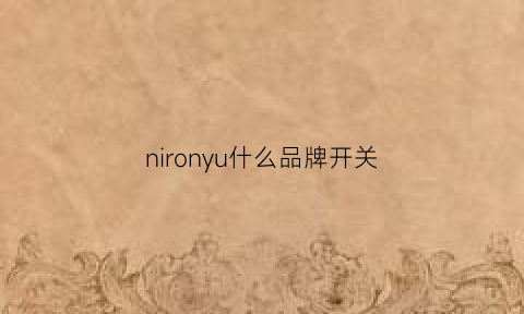 nironyu什么品牌开关(noark什么品牌开关)
