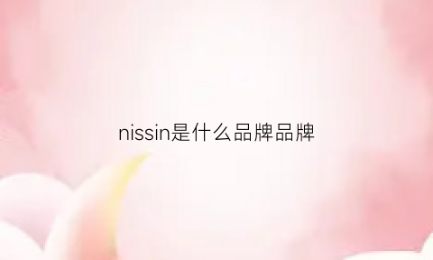 nissin是什么品牌品牌(niessing是什么牌子)