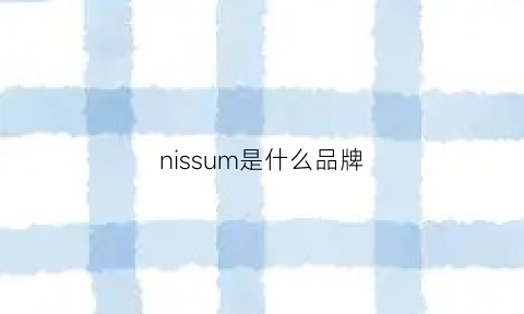 nissum是什么品牌(nisin是什么牌子)