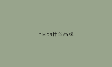 nivida什么品牌