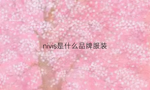 nivis是什么品牌服装(nissen女装是什么牌子)