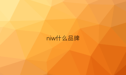 niw什么品牌