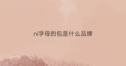 ni字母的包是什么品牌(niki包的logo是皮的吗)