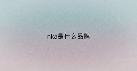 nka是什么品牌(日本sdrnka是什么品牌)