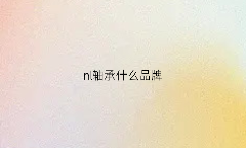 nl轴承什么品牌(轴承nachi是什么牌子)