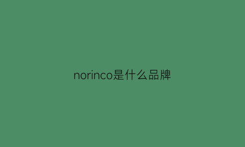 norinco是什么品牌(nol是什么牌子)