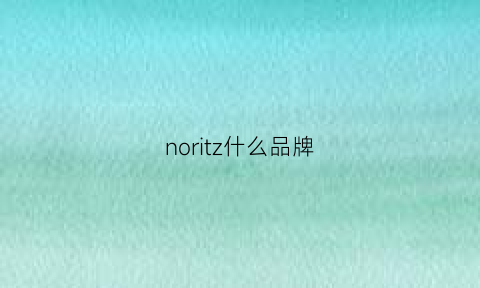 noritz什么品牌(noize什么牌子什么价位)