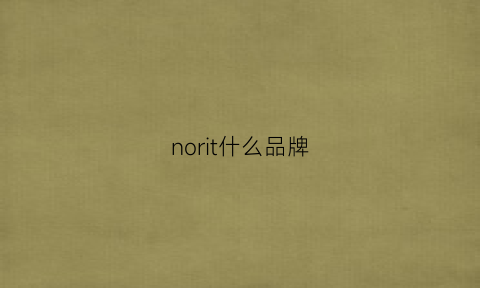 norit什么品牌(noir牌子)