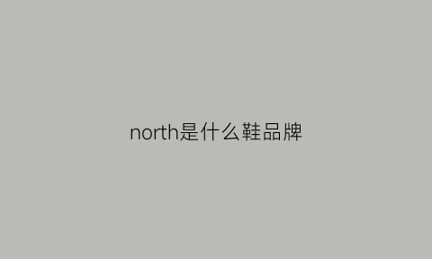 north是什么鞋品牌