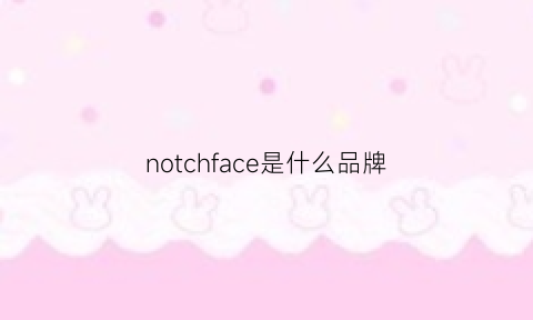 notchface是什么品牌