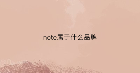note属于什么品牌(notshy什么牌子)