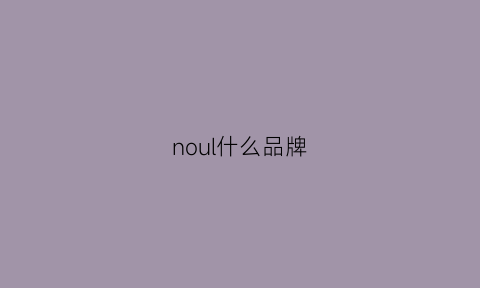 noul什么品牌