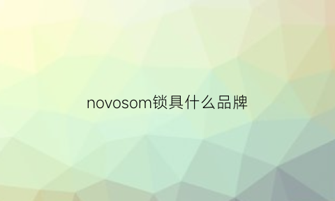 novosom锁具什么品牌(novomill是什么牌子)