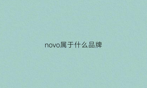 novo属于什么品牌