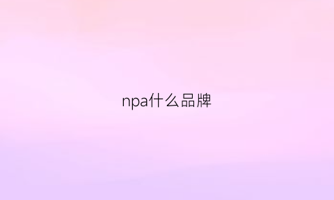 npa什么品牌(npa是什么)