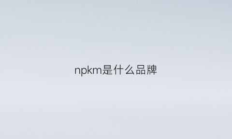 npkm是什么品牌(npw是什么牌子)