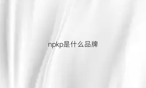 npkp是什么品牌(npz是什么品牌)