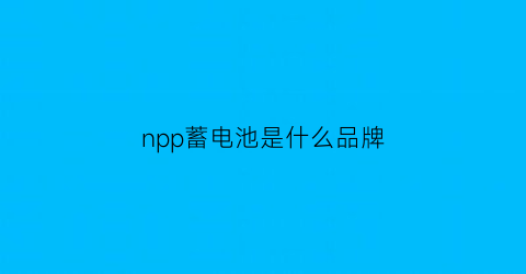 npp蓄电池是什么品牌(npp蓄电池厂家)