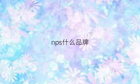 nps什么品牌(nps是什么品牌的衣服)