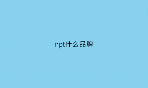 npt什么品牌