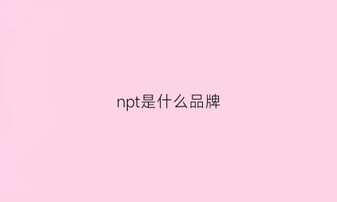 npt是什么品牌