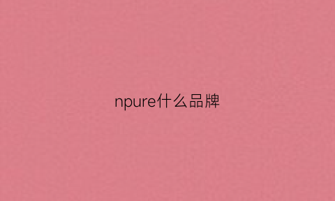 npure什么品牌(nr什么牌子)