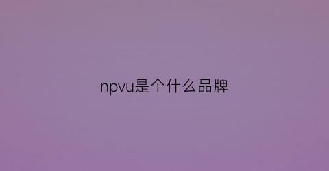 npvu是个什么品牌(npz是什么品牌)