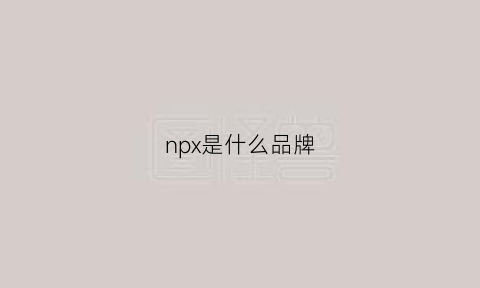 npx是什么品牌(np什么牌子的缩写)