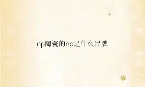 np陶瓷的np是什么品牌