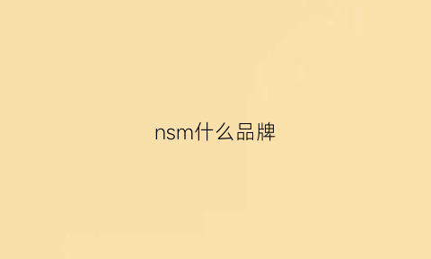 nsm什么品牌(nsm是什么)