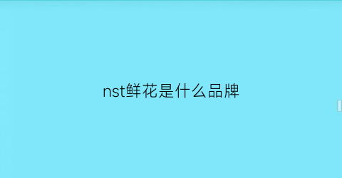 nst鲜花是什么品牌