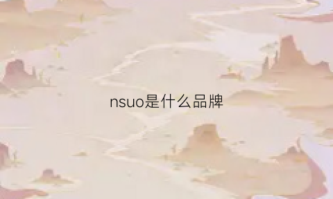 nsuo是什么品牌(nsun是什么牌子)