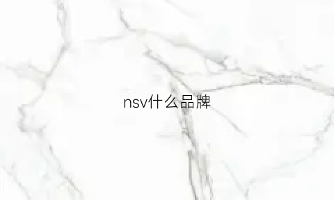 nsv什么品牌