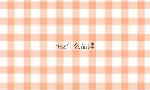 nsz什么品牌(nsn是什么品牌)